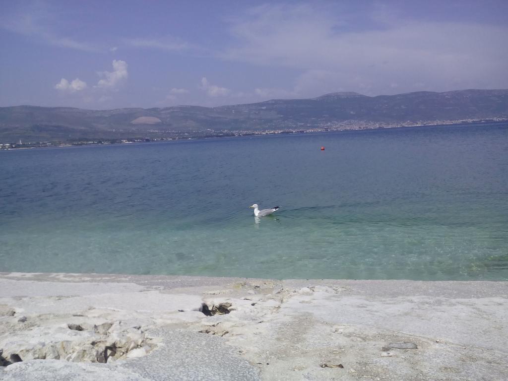 Apartment Aida Trogir Bagian luar foto